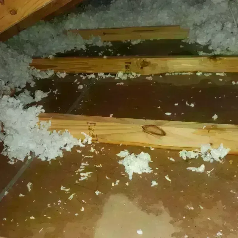 Attic Water Damage in Mountainaire, AZ