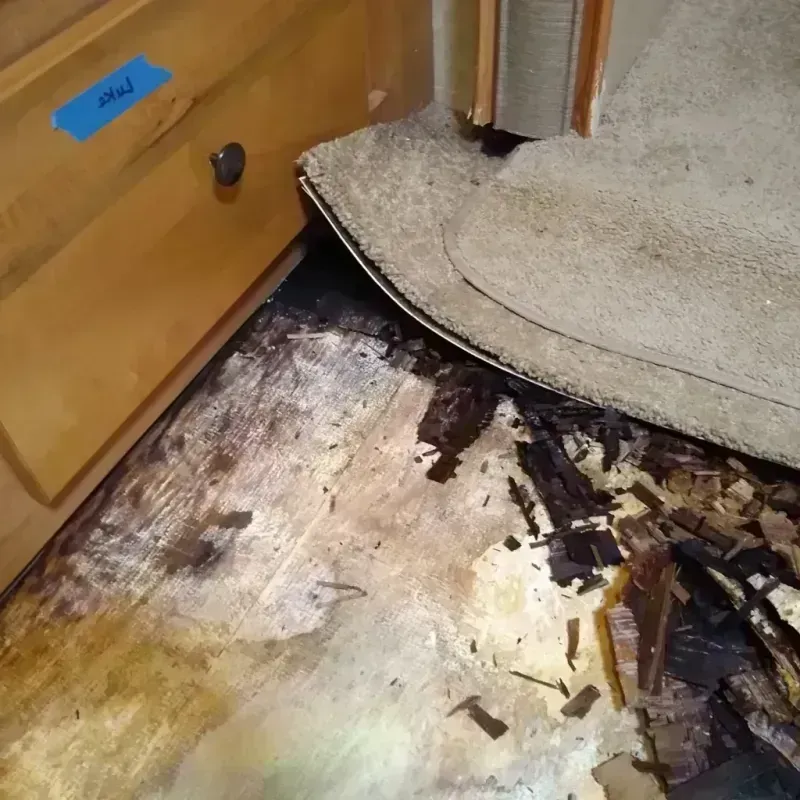 Wood Floor Water Damage in Mountainaire, AZ